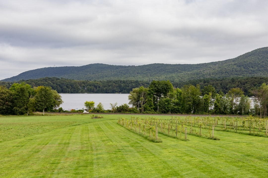 Embracing the Great Outdoors: A Journey Beyond the Ordinary